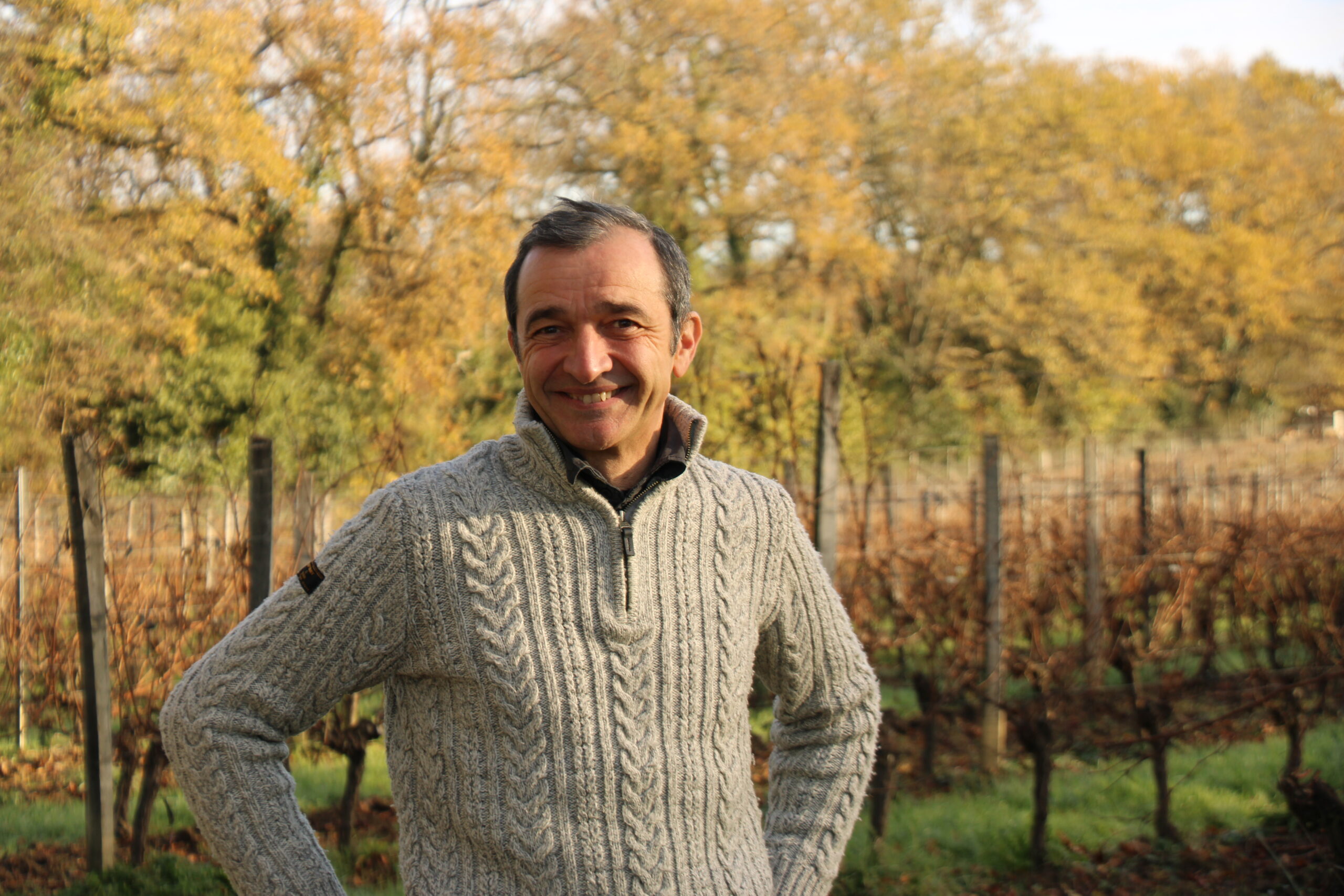 arrachage définitif des vignes